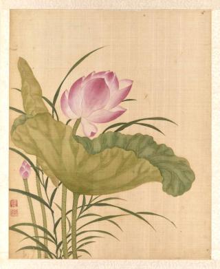 Lotus, painting by Yun Bing